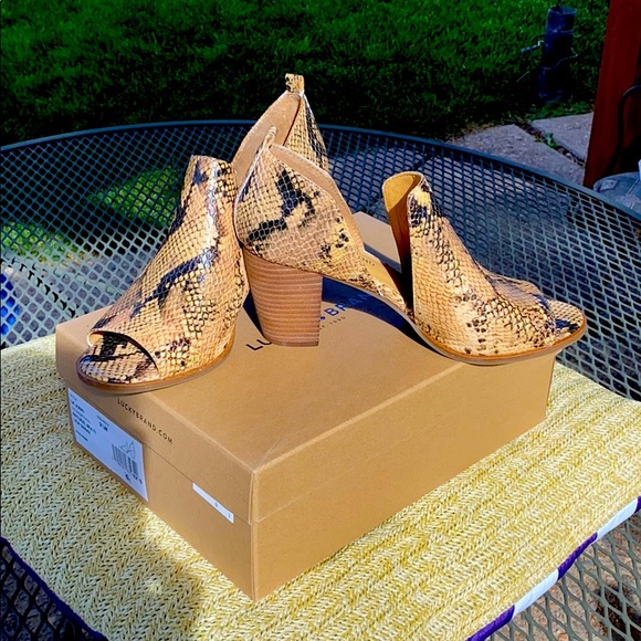 LB Lk Junai booties. - Picture 2 of 8